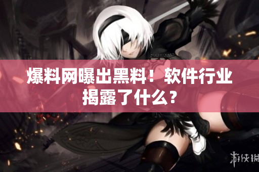 爆料网曝出黑料！软件行业揭露了什么？