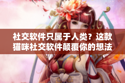 社交软件只属于人类？这款猫咪社交软件颠覆你的想法！
