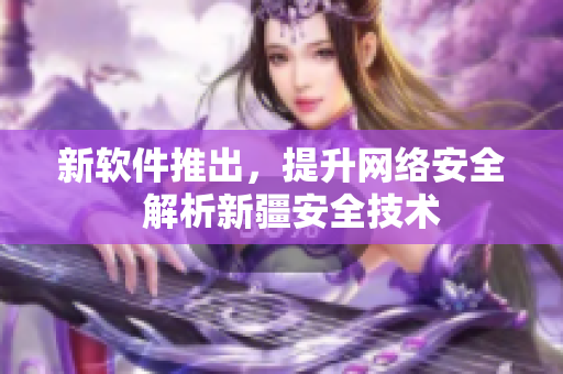 新软件推出，提升网络安全  解析新疆安全技术
