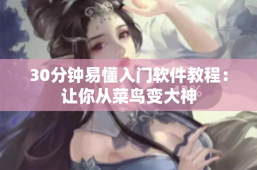 30分钟易懂入门软件教程：让你从菜鸟变大神