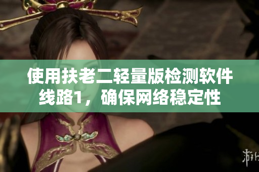 使用扶老二轻量版检测软件线路1，确保网络稳定性