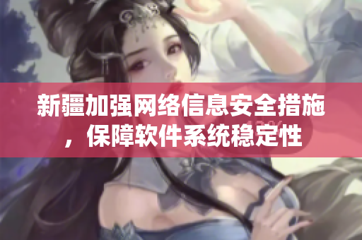 新疆加强网络信息安全措施，保障软件系统稳定性