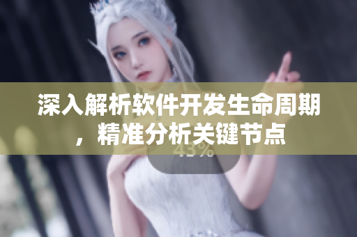 深入解析软件开发生命周期，精准分析关键节点