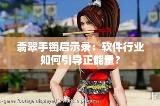 翡翠手镯启示录：软件行业如何引导正能量？