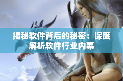 揭秘软件背后的秘密：深度解析软件行业内幕