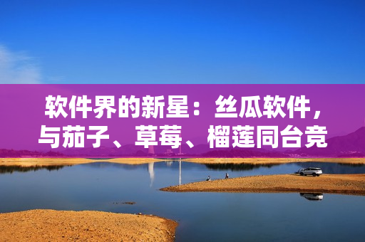 软件界的新星：丝瓜软件，与茄子、草莓、榴莲同台竞技！