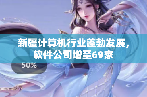 新疆计算机行业蓬勃发展，软件公司增至69家
