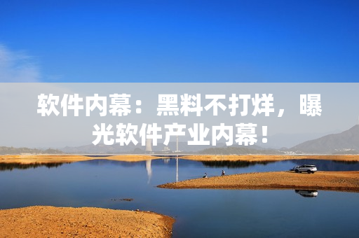 软件内幕：黑料不打烊，曝光软件产业内幕！