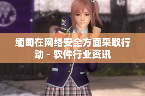 缅甸在网络安全方面采取行动 - 软件行业资讯