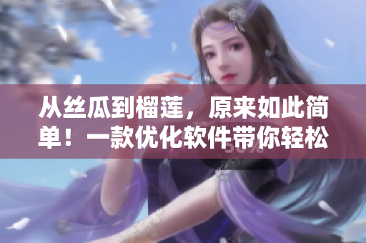 从丝瓜到榴莲，原来如此简单！一款优化软件带你轻松提升电脑速度