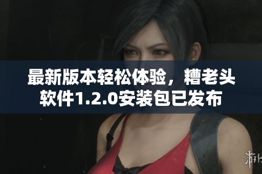 最新版本轻松体验，糟老头软件1.2.0安装包已发布