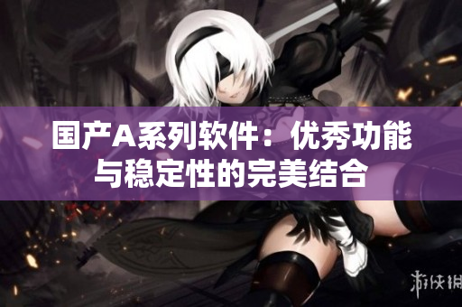国产A系列软件：优秀功能与稳定性的完美结合