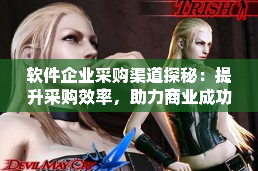 软件企业采购渠道探秘：提升采购效率，助力商业成功！