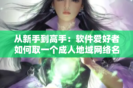 从新手到高手：软件爱好者如何取一个成人地域网络名