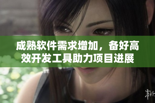 成熟软件需求增加，备好高效开发工具助力项目进展