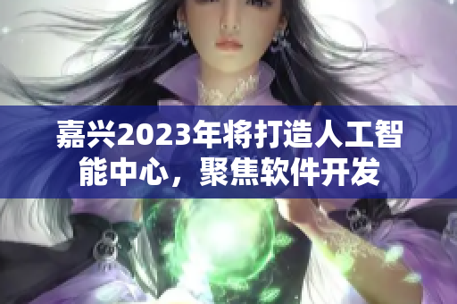 嘉兴2023年将打造人工智能中心，聚焦软件开发
