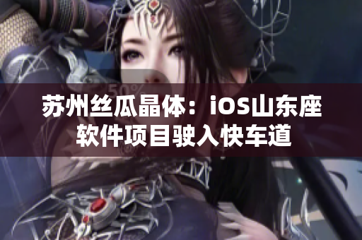 苏州丝瓜晶体：iOS山东座 软件项目驶入快车道
