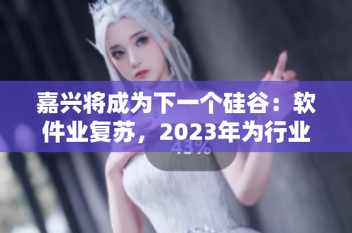 嘉兴将成为下一个硅谷：软件业复苏，2023年为行业带来新机遇