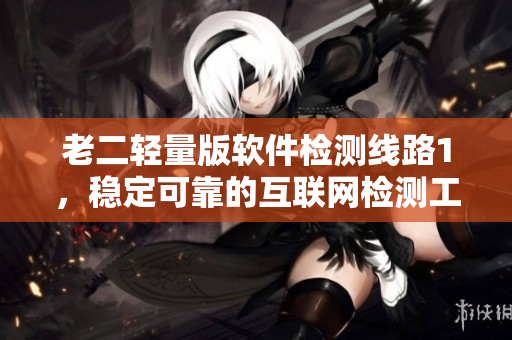 老二轻量版软件检测线路1，稳定可靠的互联网检测工具