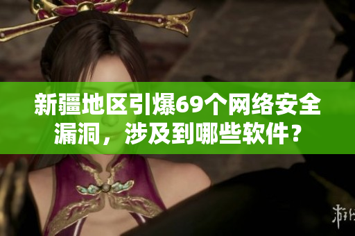 新疆地区引爆69个网络安全漏洞，涉及到哪些软件？