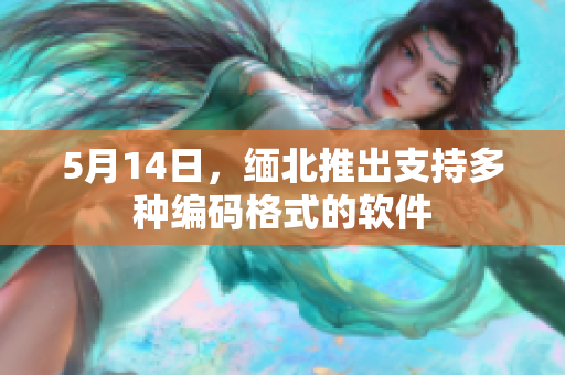 5月14日，缅北推出支持多种编码格式的软件