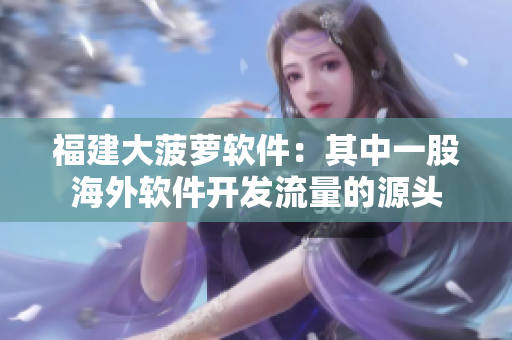 福建大菠萝软件：其中一股海外软件开发流量的源头