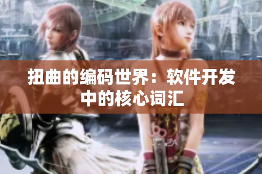 扭曲的编码世界：软件开发中的核心词汇