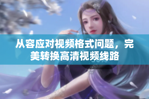 从容应对视频格式问题，完美转换高清视频线路