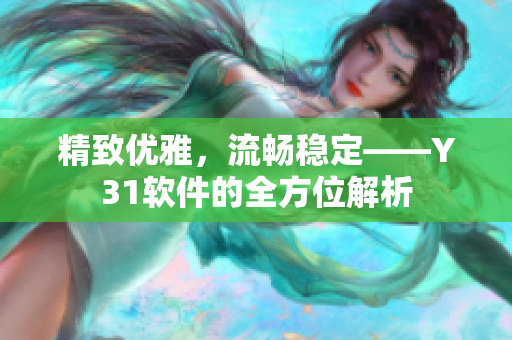 精致优雅，流畅稳定——Y31软件的全方位解析