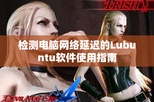 检测电脑网络延迟的Lubuntu软件使用指南