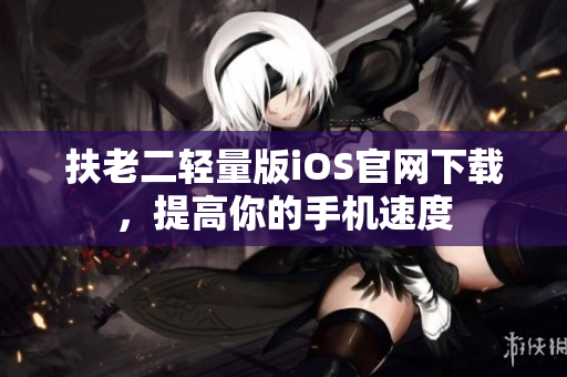 扶老二轻量版iOS官网下载，提高你的手机速度