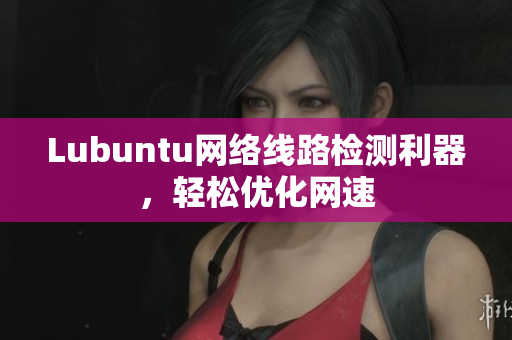Lubuntu网络线路检测利器，轻松优化网速