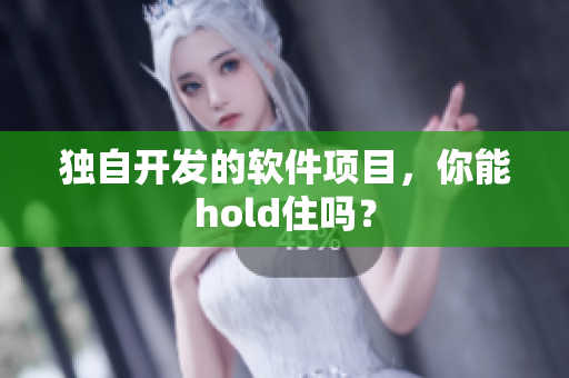 独自开发的软件项目，你能hold住吗？