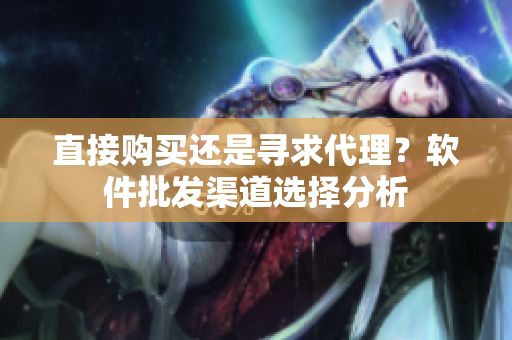 直接购买还是寻求代理？软件批发渠道选择分析