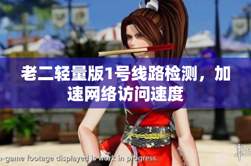 老二轻量版1号线路检测，加速网络访问速度
