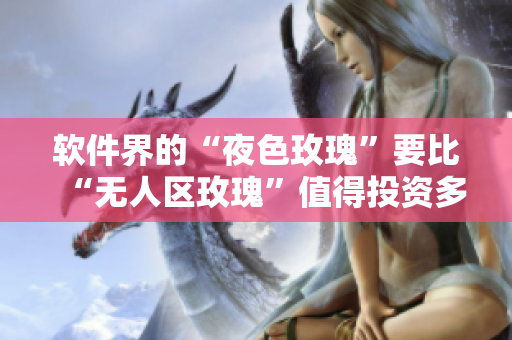 软件界的“夜色玫瑰”要比“无人区玫瑰”值得投资多少？