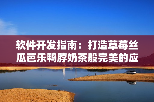 软件开发指南：打造草莓丝瓜芭乐鸭脖奶茶般完美的应用程序