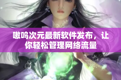 嗷呜次元最新软件发布，让你轻松管理网络流量