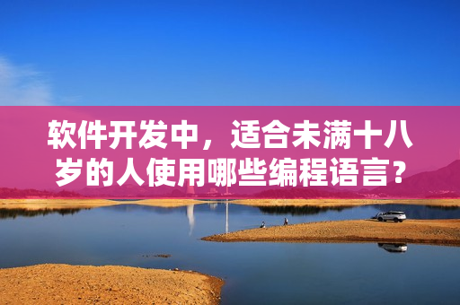 软件开发中，适合未满十八岁的人使用哪些编程语言？