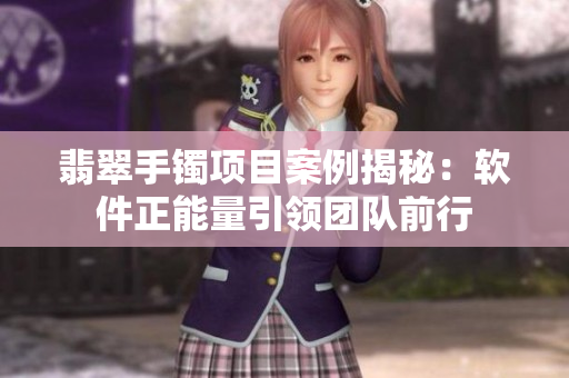 翡翠手镯项目案例揭秘：软件正能量引领团队前行