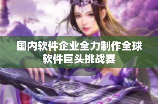 国内软件企业全力制作全球软件巨头挑战赛