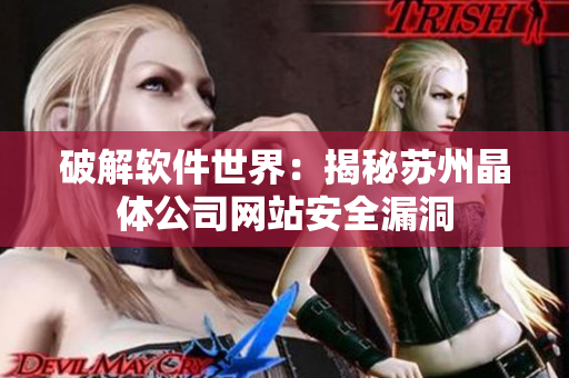 破解软件世界：揭秘苏州晶体公司网站安全漏洞