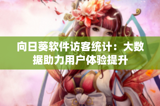 向日葵软件访客统计：大数据助力用户体验提升