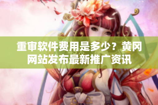 重审软件费用是多少？黄冈网站发布最新推广资讯