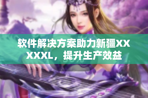 软件解决方案助力新疆XXXXXL，提升生产效益