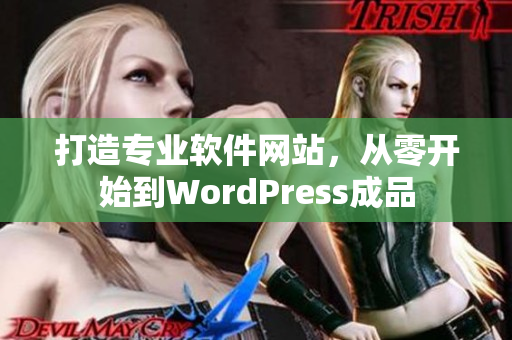 打造专业软件网站，从零开始到WordPress成品