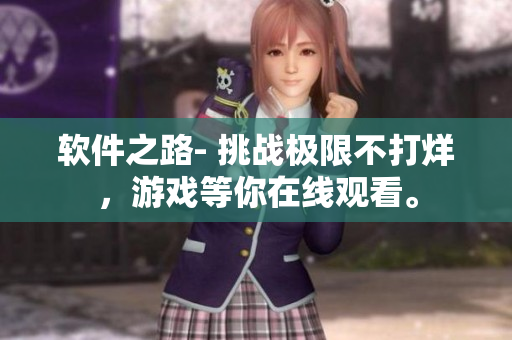 软件之路- 挑战极限不打烊，游戏等你在线观看。