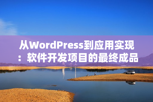 从WordPress到应用实现：软件开发项目的最终成品