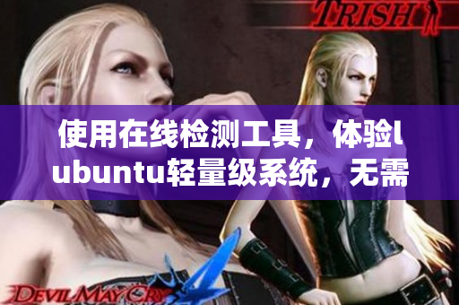 使用在线检测工具，体验lubuntu轻量级系统，无需广告干扰