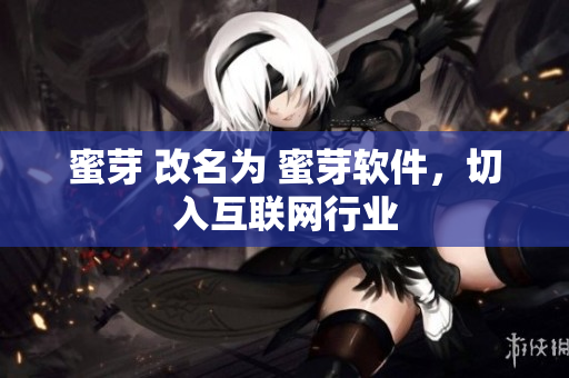 蜜芽 改名为 蜜芽软件，切入互联网行业